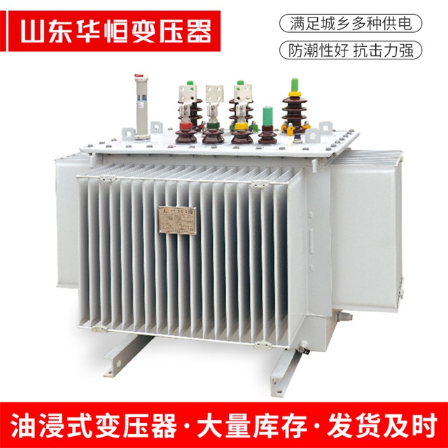 S13-10000/35南华南华南华电力变压器